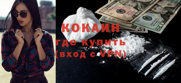 индика Семилуки