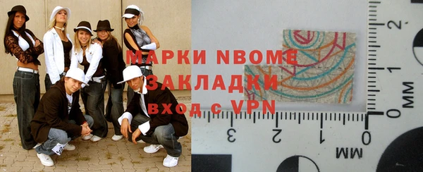индика Семилуки